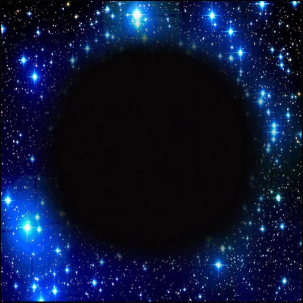 Meet your Posher, Louie